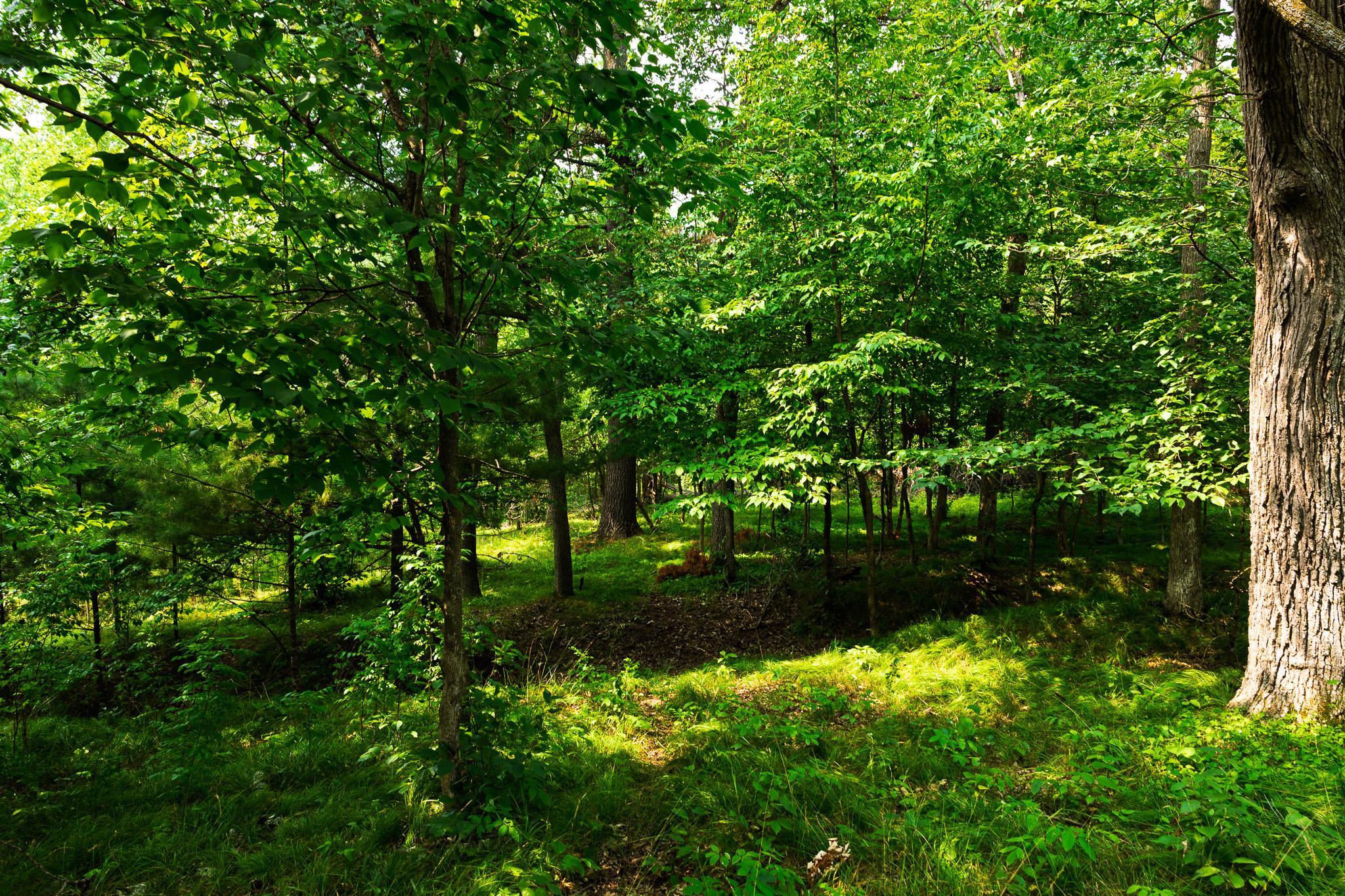 3R7A0837.jpg