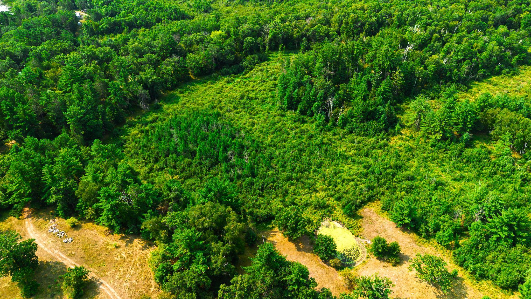 DJI_0163.jpg