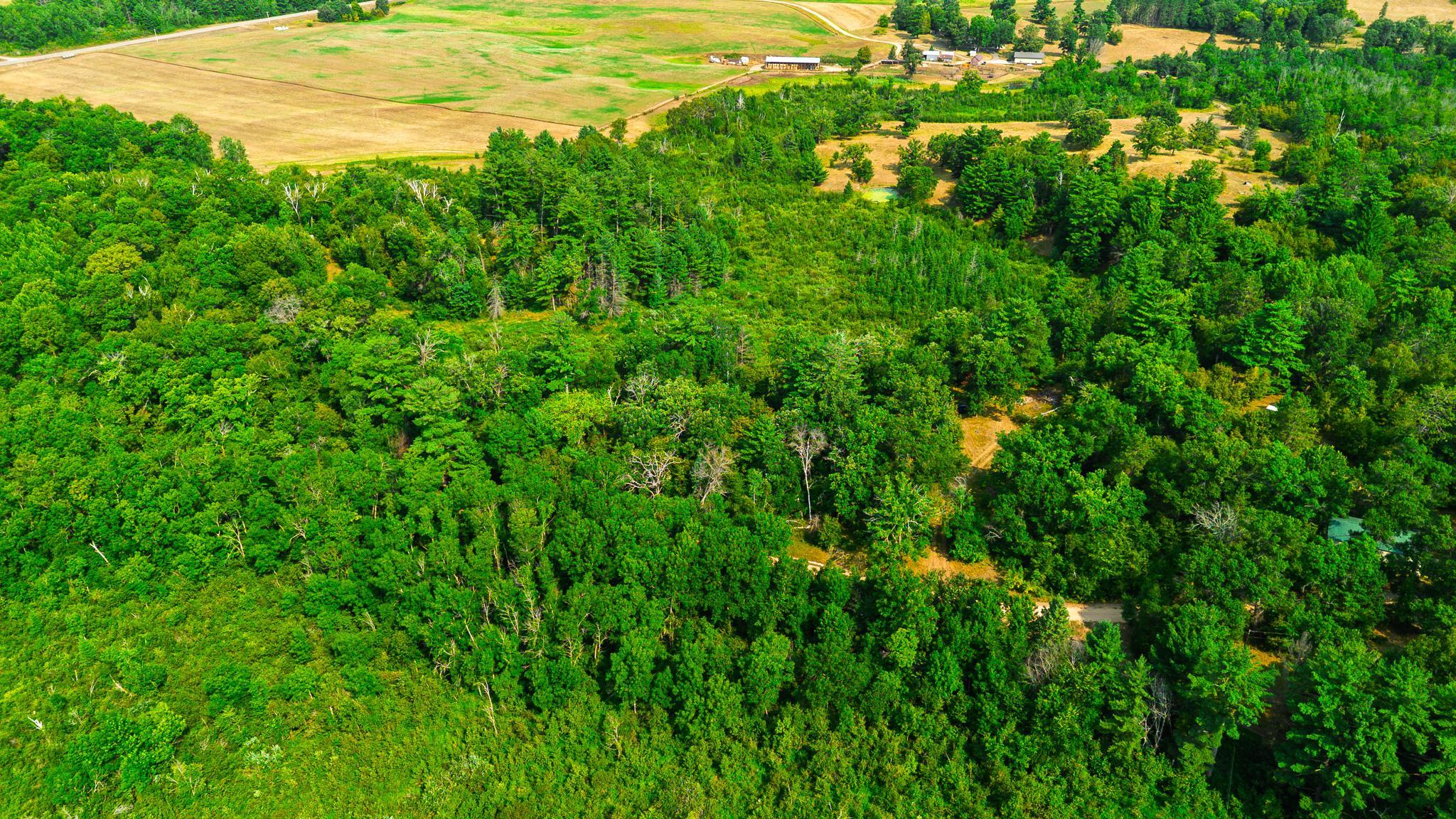 DJI_0147.jpg