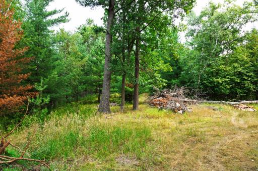 TBD County Road 23, Brainerd, MN 56401
