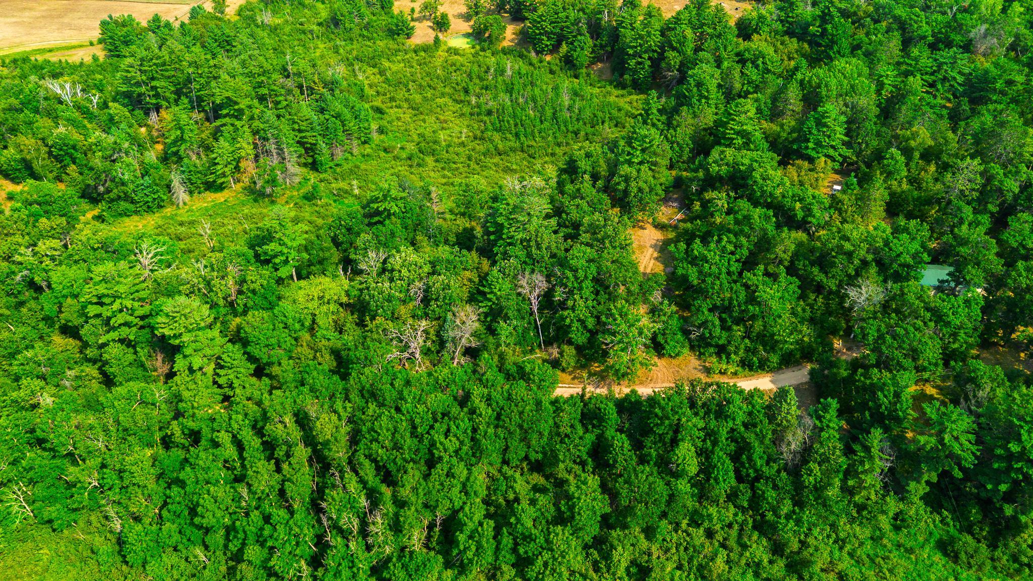 DJI_0148.jpg