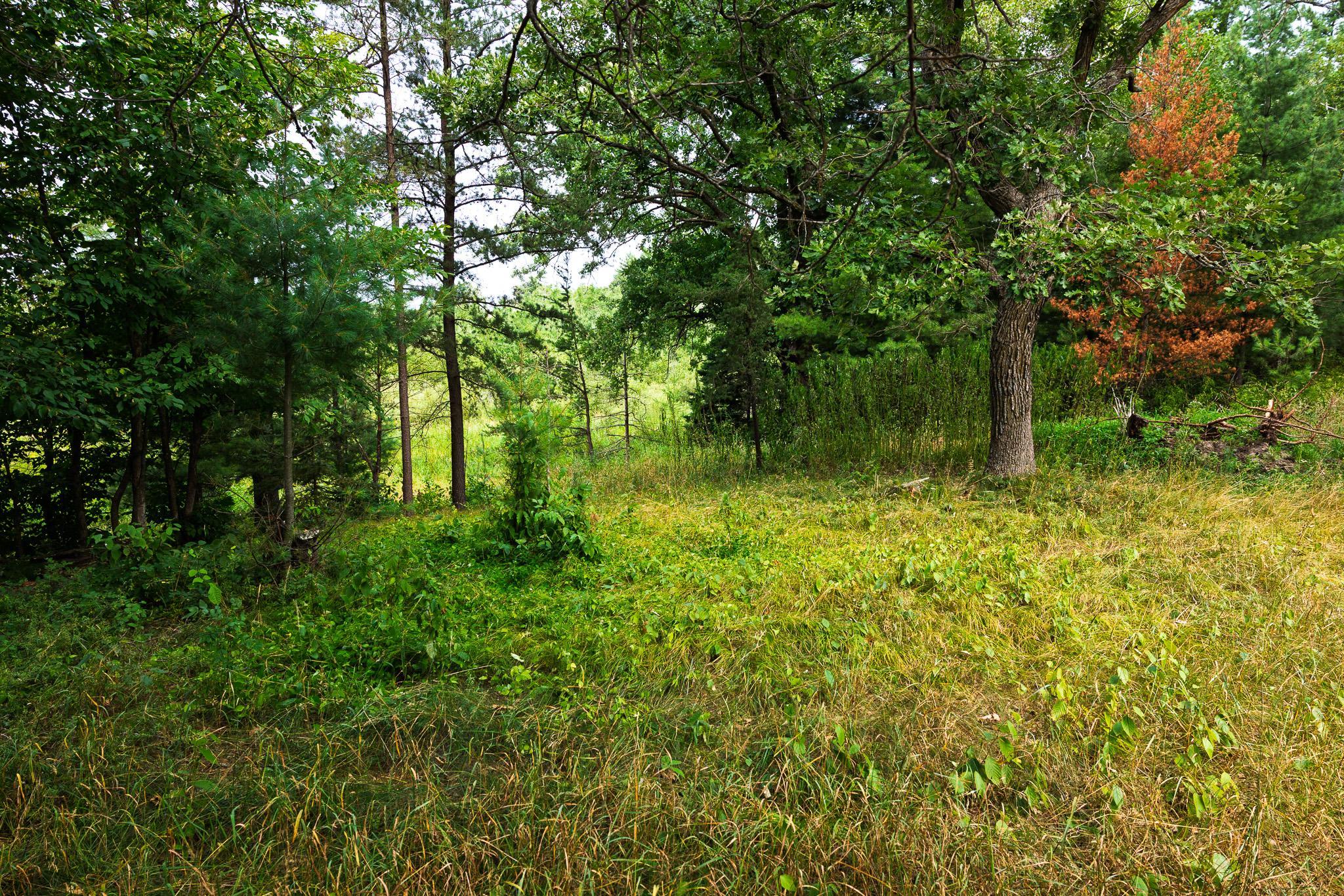 3R7A0856.jpg