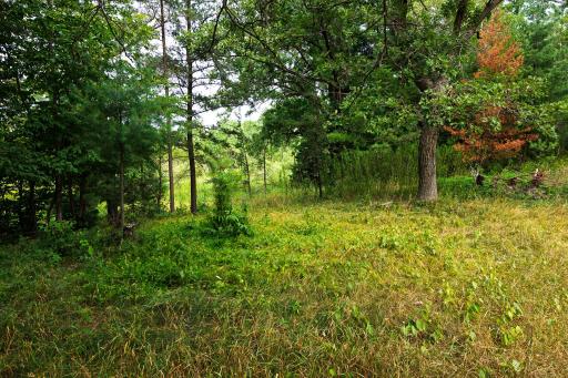 TBD County Road 23, Brainerd, MN 56401