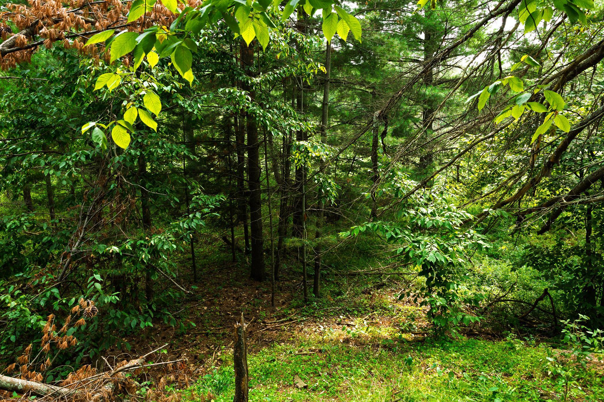 3R7A0834.jpg