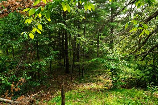 TBD County Road 23, Brainerd, MN 56401