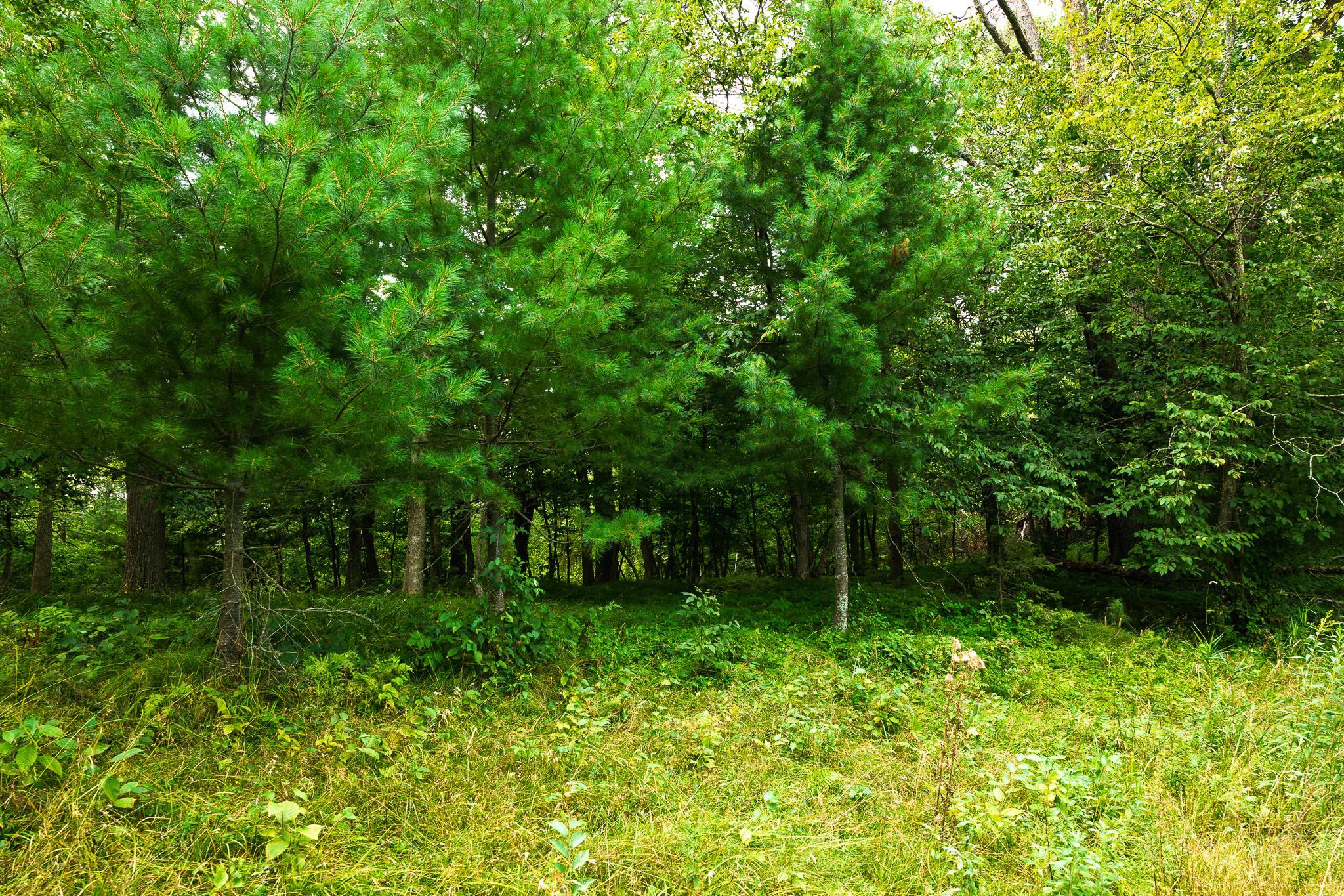 3R7A0806.jpg