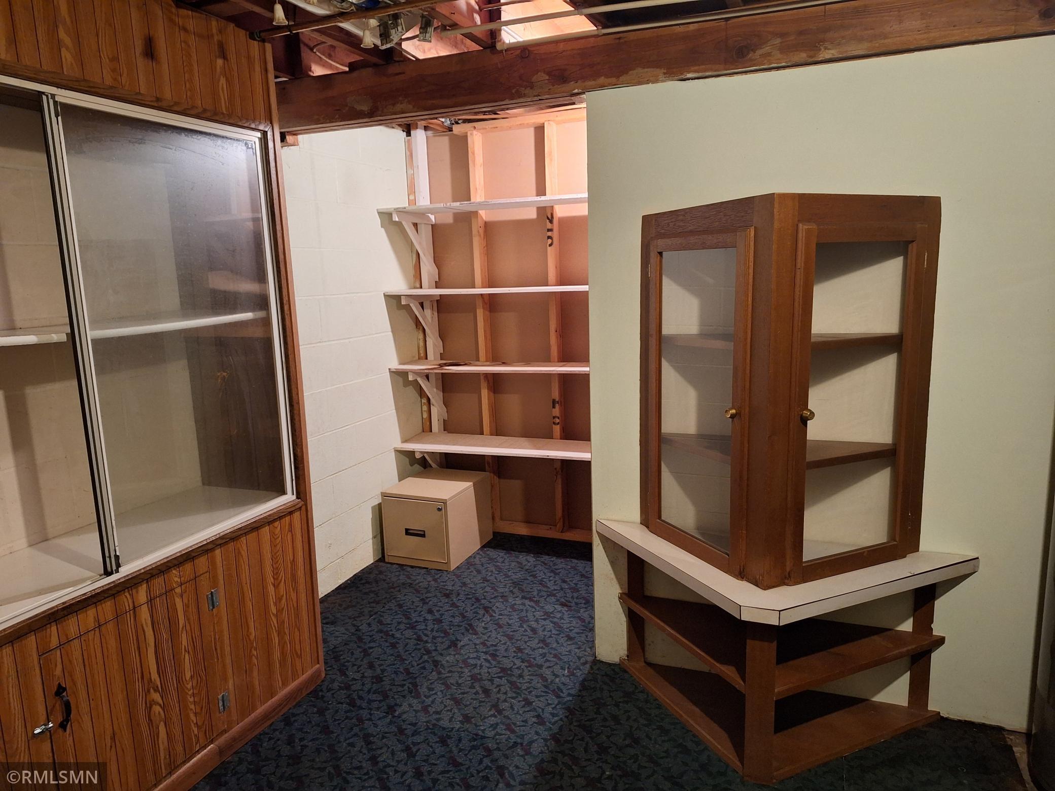 34. Basement BR Builts ins and closet.jpg