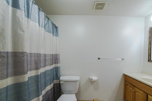 FULL Lower level bathroom
