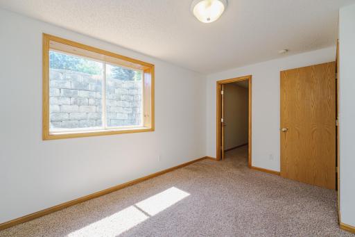 This room has an ENORMOUS walk-in closet!