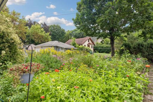 So much beauty offered at the on site community garden maintained by the owners.