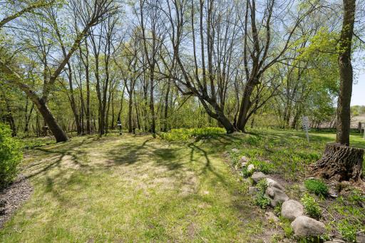 This is a shot of the backyard near the deck to give you an idea of how private the 10 acres actually are. There's plenty of space for pasture if you wanted to have horses or livestock. But you get the privacy