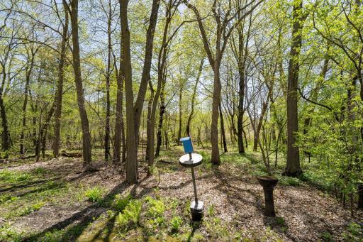 All throughout the year you will see birds, deer, rabbits and other critters in nature. There are several different bird houses and feeders that attract all types of beautiful animals