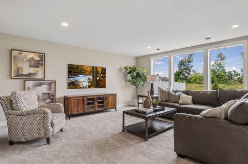 The lower level family room gives you addition living space.