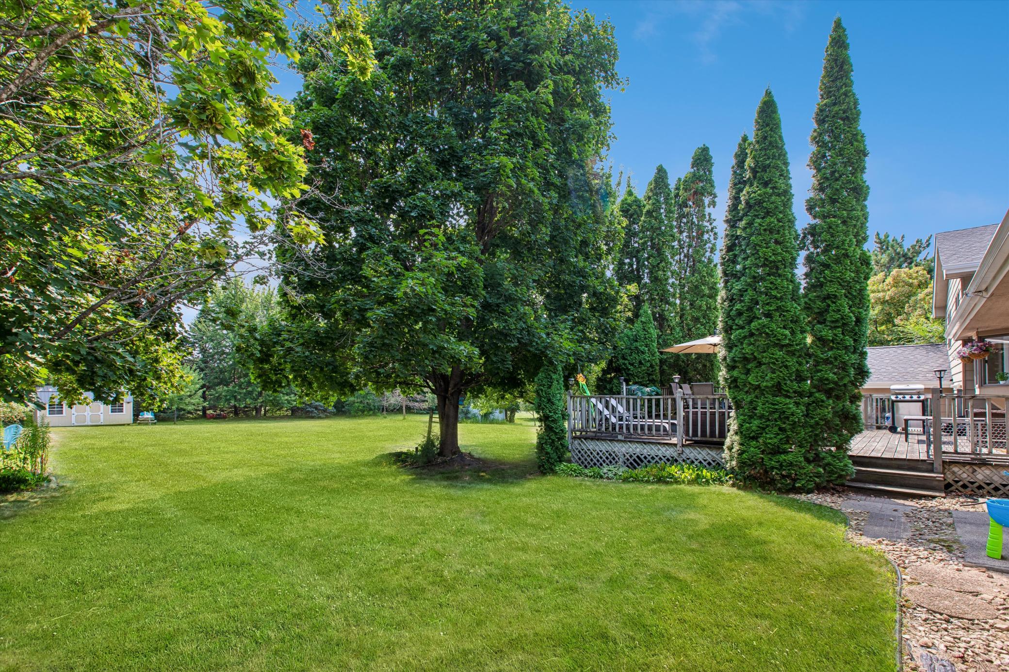 view of the backyard deck.