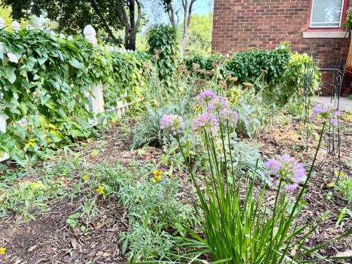 Perennial gardens.jpeg