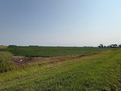 1 County Rd. 3, Shelly, MN 56581