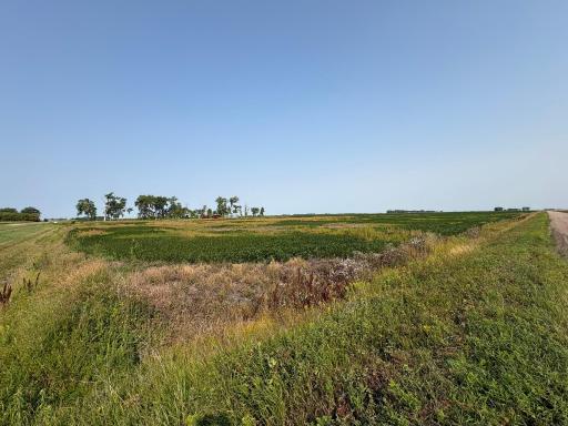 1 County Rd. 3, Shelly, MN 56581