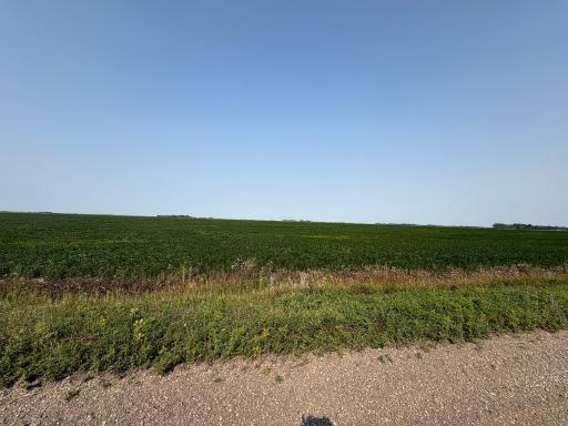 1 County Rd. 3, Shelly, MN 56581