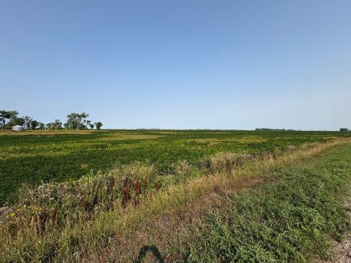 1 County Rd. 3, Shelly, MN 56581