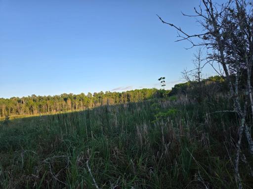 TBD (lot 2) 190th Street, Bagley, MN 56621