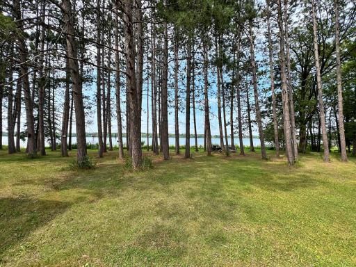 Lakeside yard view through the trees to the lake.jpg