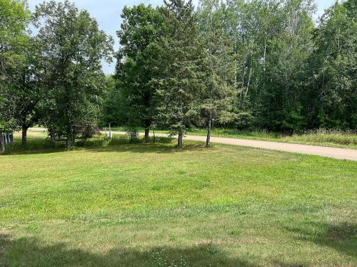 Front yard and Road leading to property.jpg