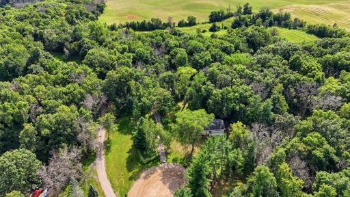 Nature abounds on this property
