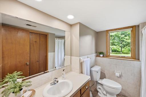 Lower Level Bathroom