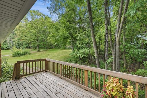 Views off the back deck