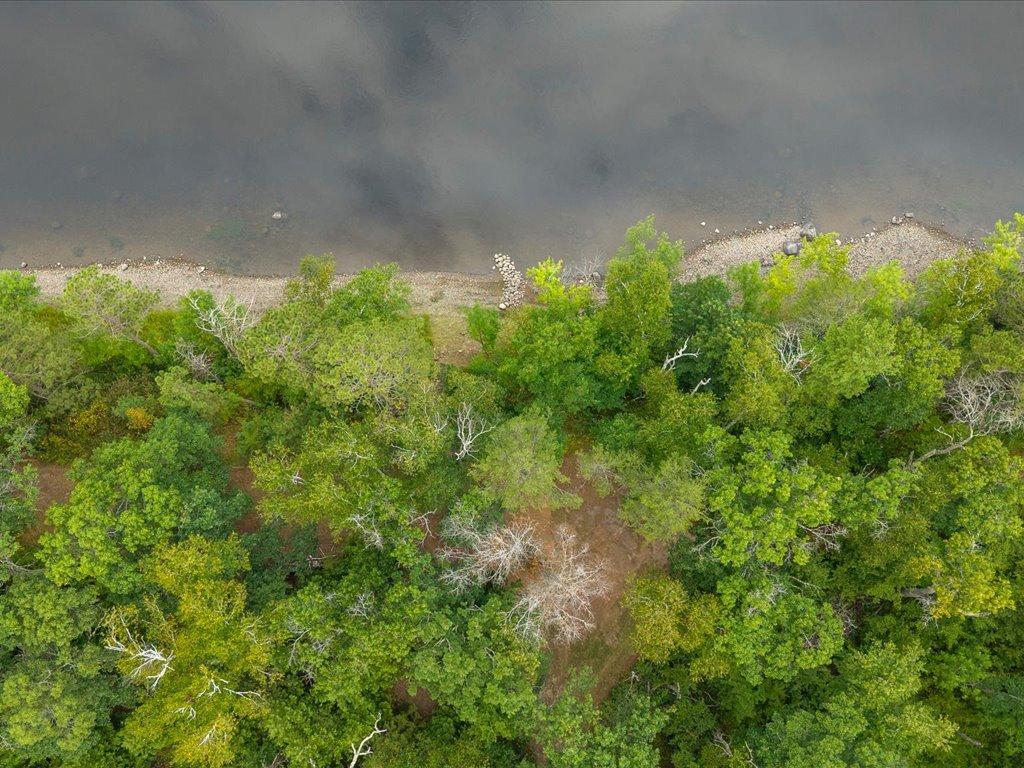RV Site Overhead