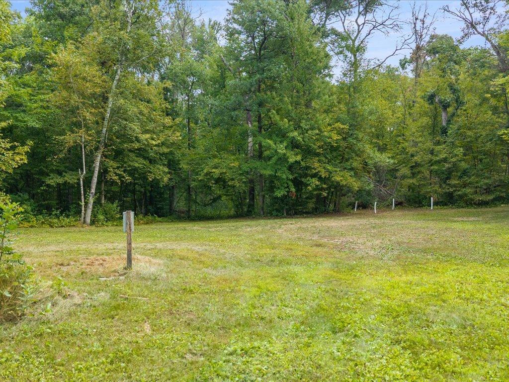 Potential Build Site With Electric