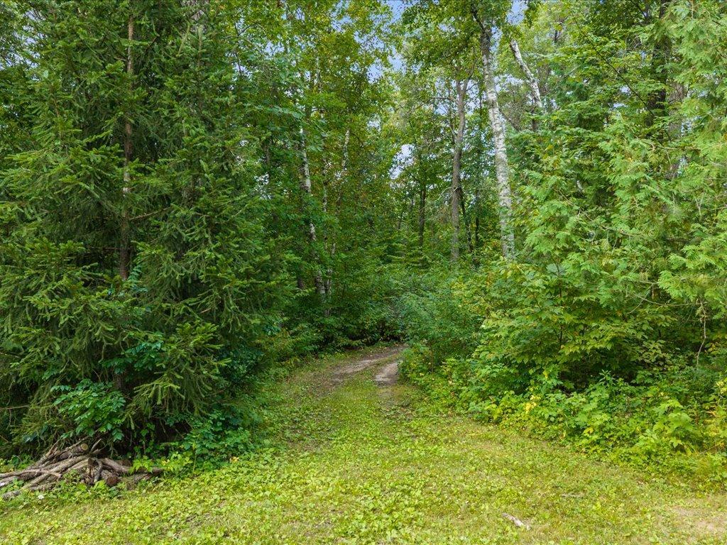 Walking Trails Cut in