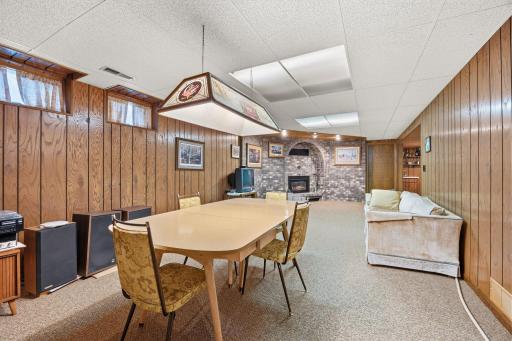 Lower level rec/family room