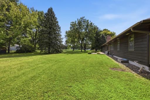 Backyard features mature tress and privacy