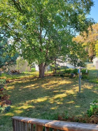 Rear yard view