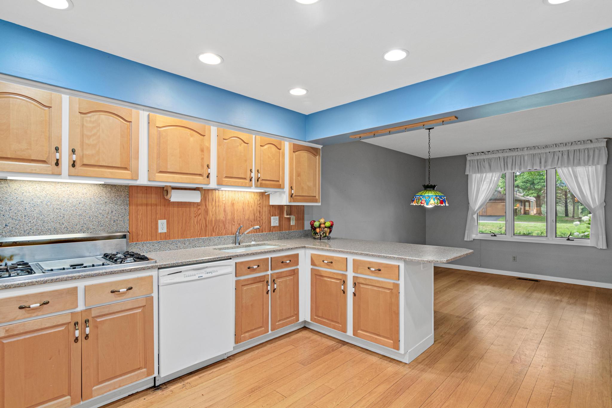 18 Anemone Cir-13.jpg