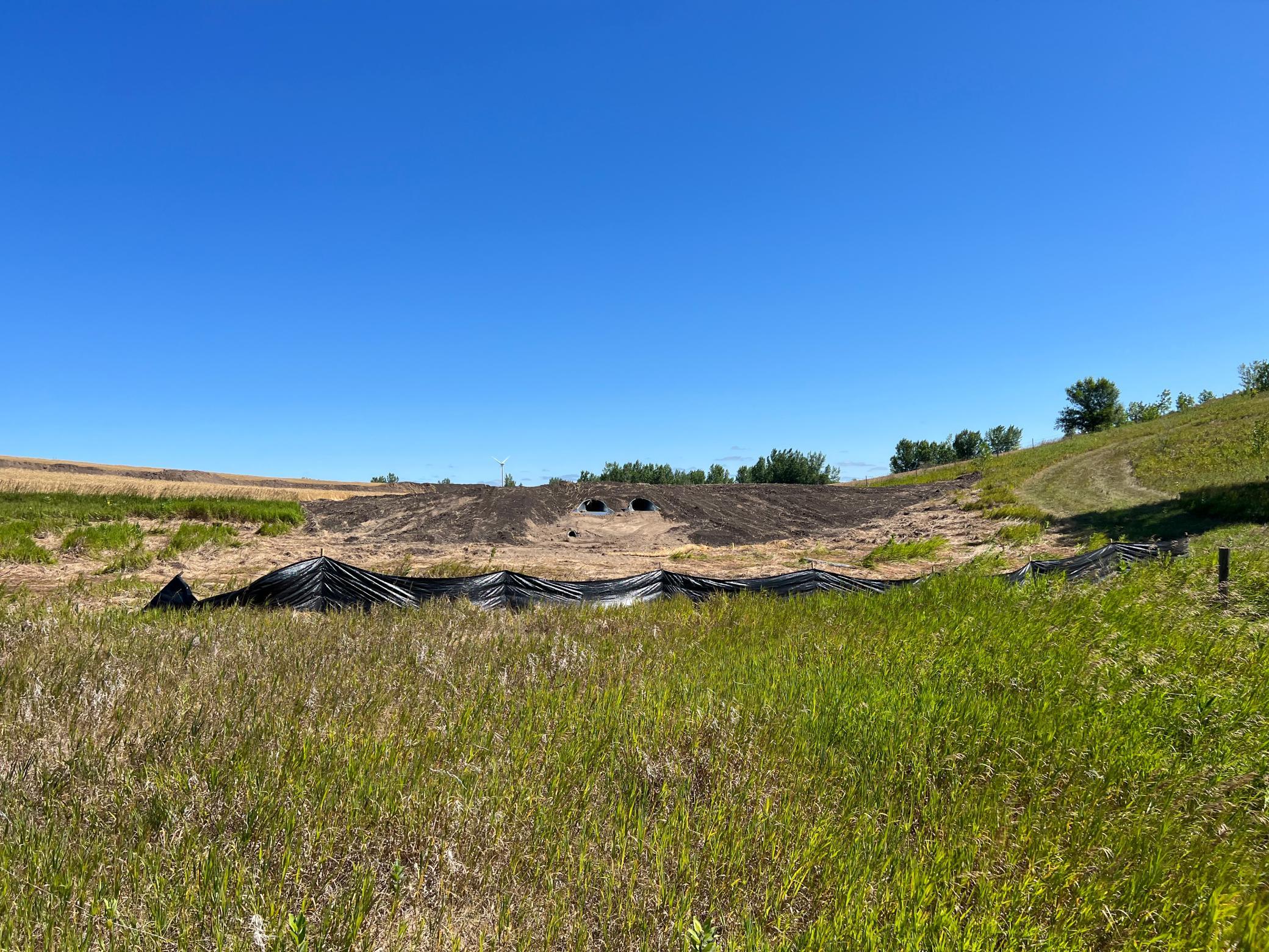 IMG_2777.jpeg