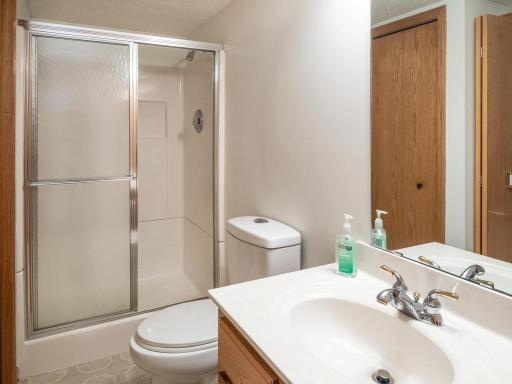 020-019-Lower Level Bathroom-1024x768.jpg