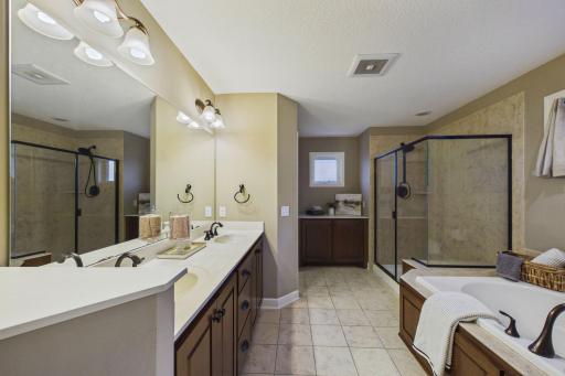 Owner’s Bath