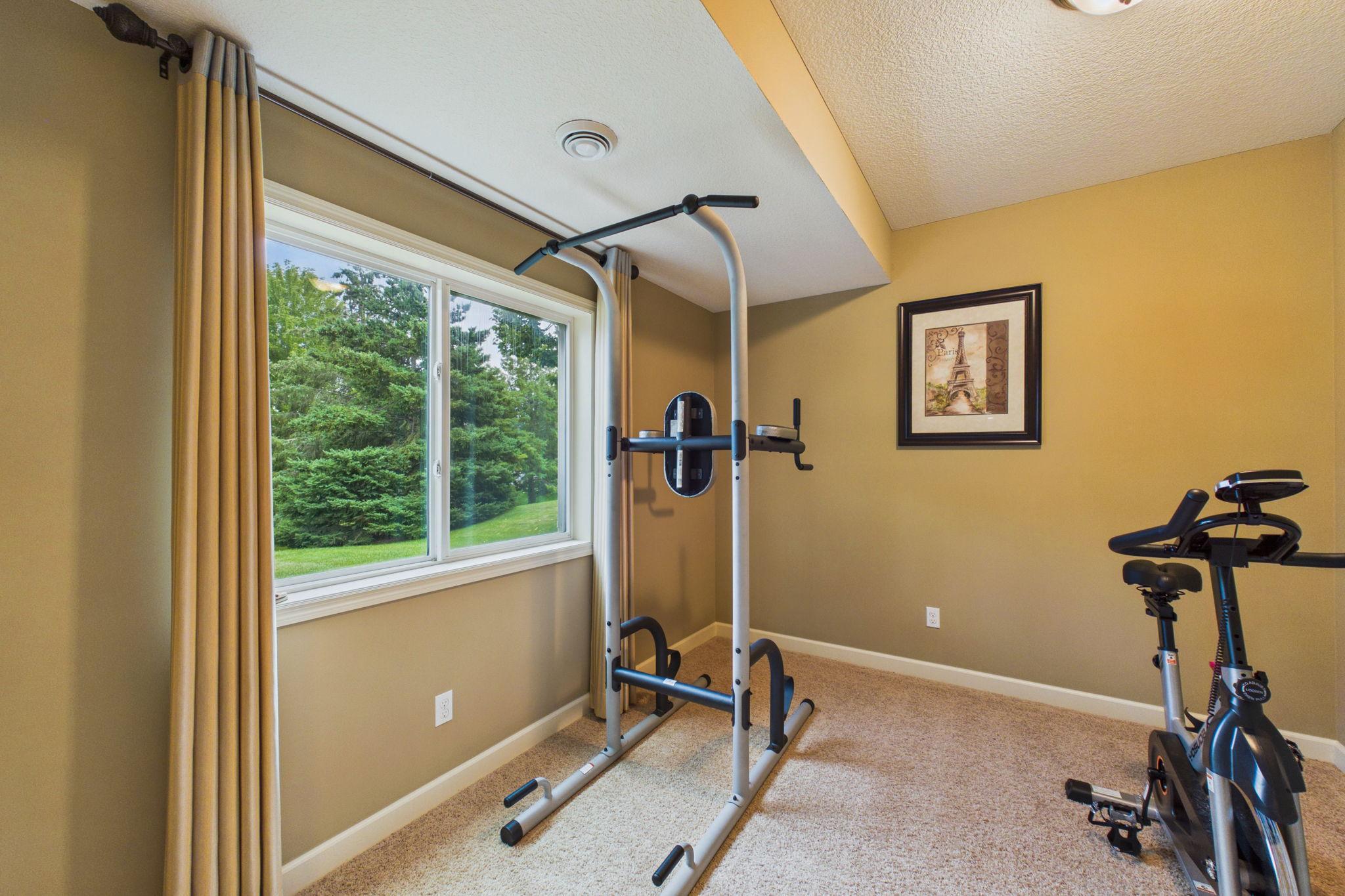 Lower Level Bedroom