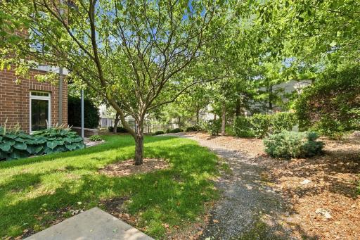 66 Path to the patio