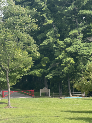 Quarry Hill Trails and Woods across the street