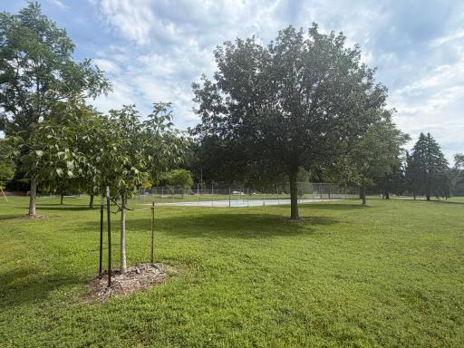 Quarry Hill tennis courts across the street
