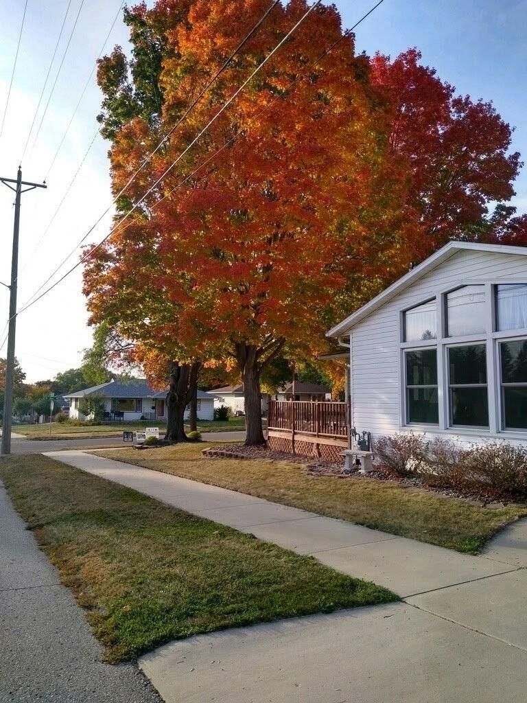 Fall 900.jpeg