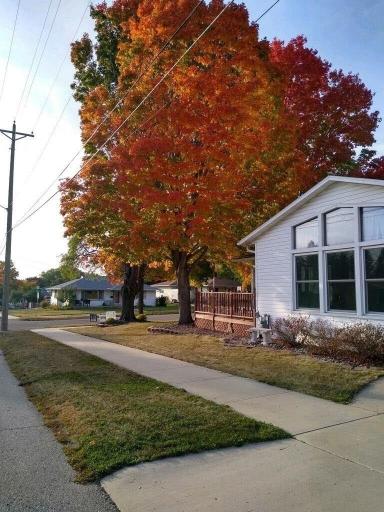 Fall at 900 19th Ave. Please see Public Remarks about Seller Contribution.