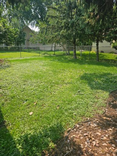 FENCED BACK YARD.jpg