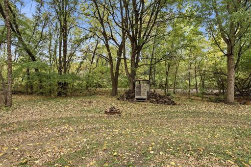 Home sits tucked behind the trees, with deer & the occasional turkey for neighbors.