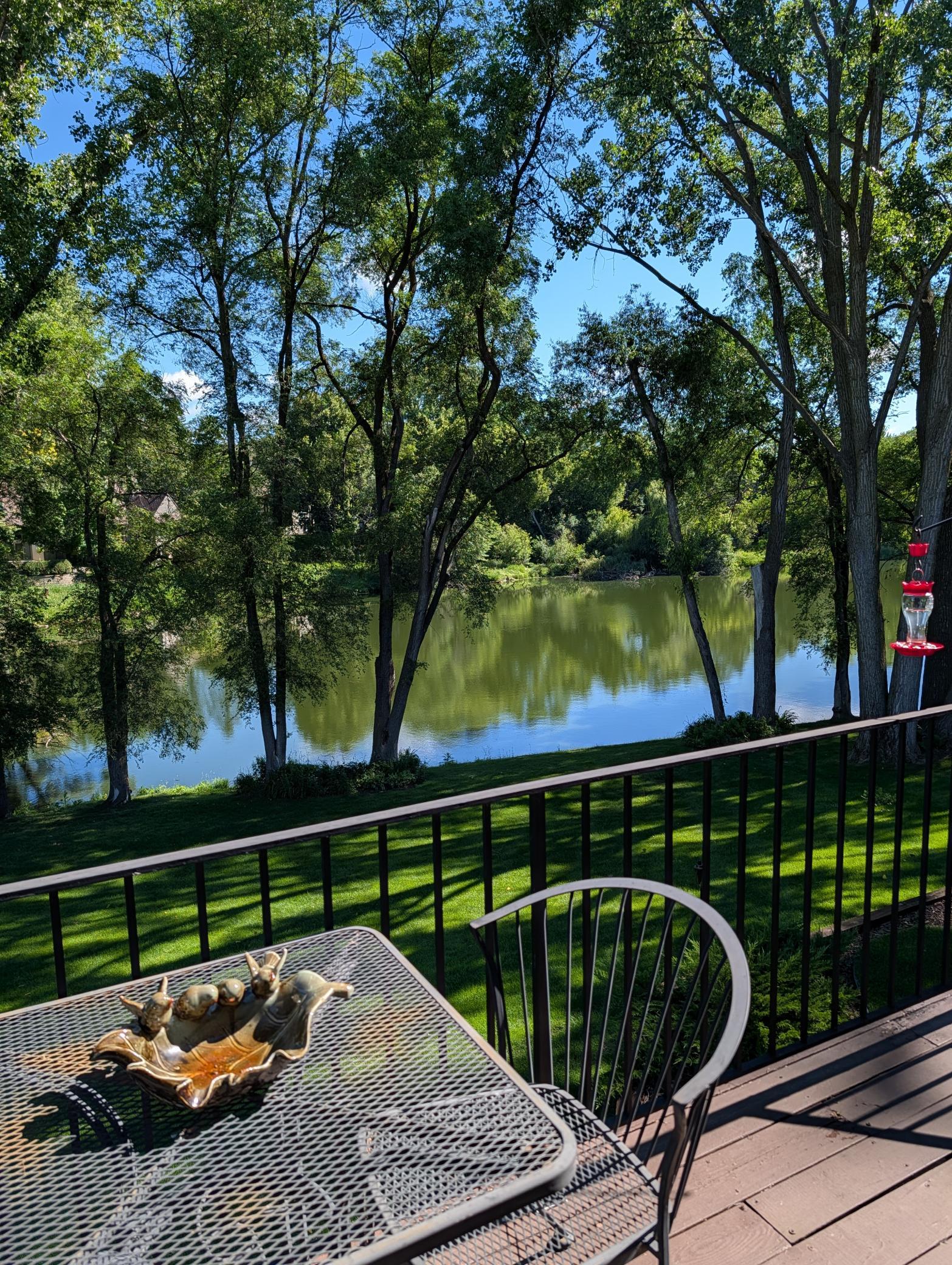 primary deck view