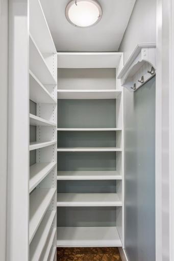 The walk-in pantry has a ton of storage space.