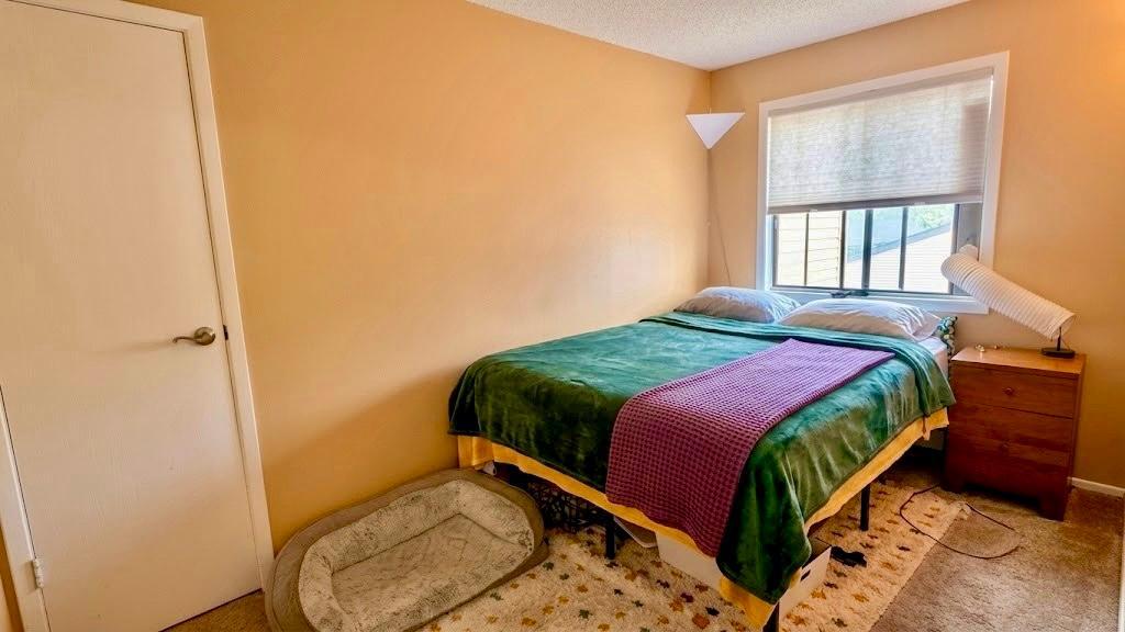 Cozy bedroom with warm bedding and ample natural light a calm retreat at the end of the day.